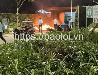 Công ty dịch vụ bảo vệ Bảo Lợi
